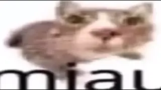 The Secret Box 23-100%