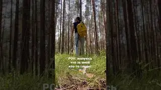 Очень жуткая ситуация #shorts #сталкеры