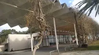 Пицундский заповедник февраль 2024 часть 2