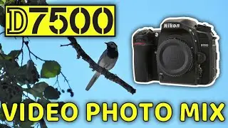 VIDEO PHOTO MIX #d7500
