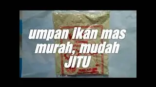 Racikan Umpan JITU ikan mas murah meriah, hasil tidak kecewa.