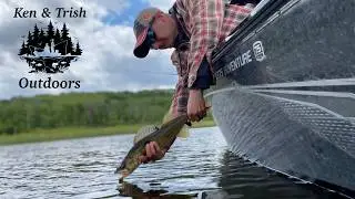 Trolling Cranks For Chunky Manitoba Walleye!