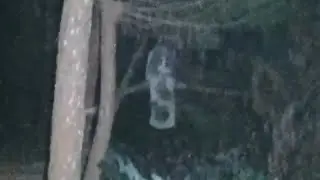 kuntilanak terjelas