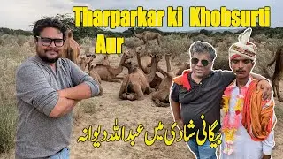 Tharparkar Desert Village Life in Sindh | Desert Life Pakistan | Village Life Pakistan