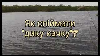 як спіймати 