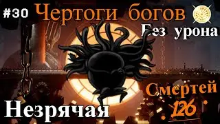 No Eyes without damage. Halls of the Gods Hollow Knight.