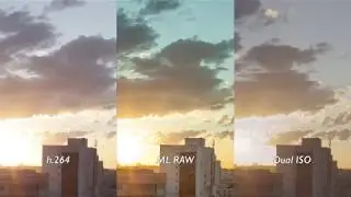 Canon 5D II Magic Lantern - h.264 vs RAW vs Dual Iso
