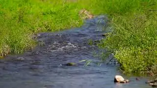 Журчит себе по камушкам . . .