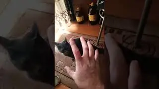 16 июля 2024 г.