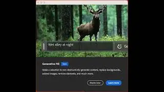 Adobe Photoshop Generative Fill AI