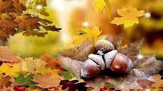 JOURNEY OF AN AUTUMN LEAF!