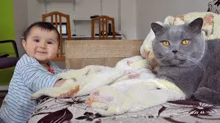 Baby chasing Cat - will they fight?