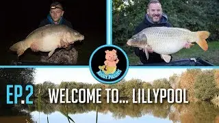 France Carp Fishing 2017 @ LillyPool - Ep.2