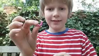 Ich baue Lego Super Mario Mystery pack auf
