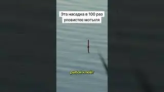 СУПЕР НАСАДКА ДЛЯ КРУПНОЙ РЫБЫ. СМОТРИ И ПРОБУЙ!