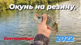 Окунь на резину.Исеть 2022.Рыбачу на все.