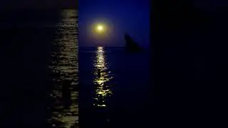 Охотничья Луна-Наступает мощнейшее 