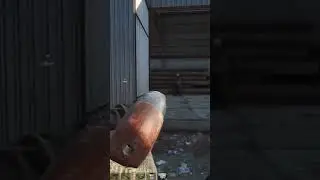 A Great Example Why I Love This Shotgun! 