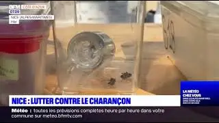 Technipalm - BFM TV - 6/2022