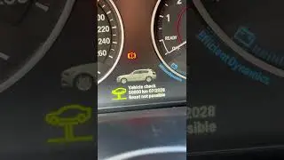 Auto importieren