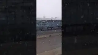 Snowfall on the first day of summer in Hamburg