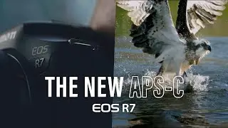 【EOS R7 高速 ‧ 高解像度旗艦級 4K APS-C EOS R 無反 | 隆重登場】