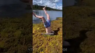 PARKOUR TRAINING IN MOVIES 🤪 