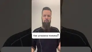Как устроена психика?#прошлыежизни #подсознание #дмитрийширипов #регрессонлайн #сущности #экзорцизм