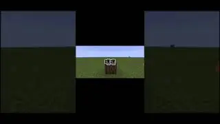 MINECRAFT SLIME BLOCK IN REAL LIFE!| minecraft 