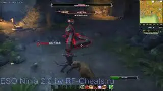 The Elder Scroll Online: killing the BOSS SOLO with ESONinja