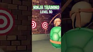 My Life-Changing Ninja Turtle Transformation #TMNT #RecRoom.