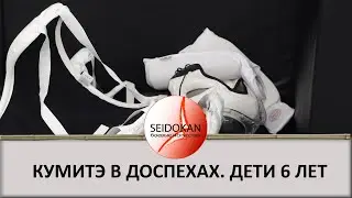 Каратэ в доспехах. Категория 6-7 лет.