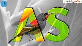 How to make Highlighted Colourful text from Black & White Photo | Overlapping | Pixellab tutorial
