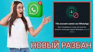 Решение проблемы 2025 года: вам нужен официальный WhatsApp для входа | Проблема со входом в WhatsApp