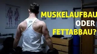 Erst Muskelaufbau oder Fettabbau? | So wirst du dir nie mehr die Frage stellen!