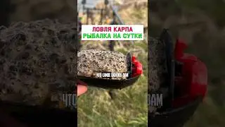Как поймать много карпа? #карпфишинг
