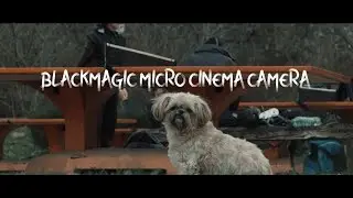Blackmagic Micro Cinema Camera in 2020  // BMMCC // BMPCC