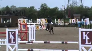 Larry qualifying foxhunter blue ribband