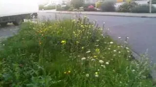 Kneedown sparks