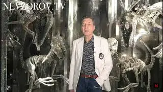 Невзоров про Кузю, провороворного и лебединное озеро