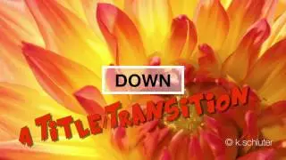 UpDown - a free Title/Transition plugin for FCPX