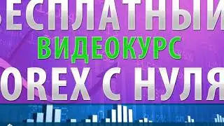 Форекс Видео Смотреть | Видеокурс по форекс скачать бесплатно