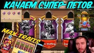 СУПЕР-ПЕТЫ НА МАКСИМАЛКЕ \ ПРОКАЧКИ И СТАТЫ \ ПРИМЕНЕНИЕ \ БИТВА ЗАМКОВ \ CASTLE CLASH