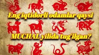 Eng iqtidorli odamlar qaysi MUCHAL yilida tug'ilgan?
