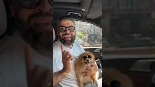 Отправьте это тем кто учит вас жизни