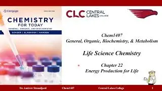 Chem1407 Lecture Notes Chapter 22