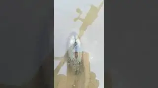 Мидия передвигается 20230805 075641