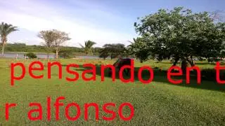 pensando en ti omar alfonso
