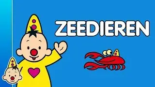 Zeedieren - Leren met Bumba