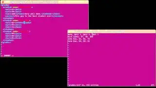 XML Format 2 (using Scala)